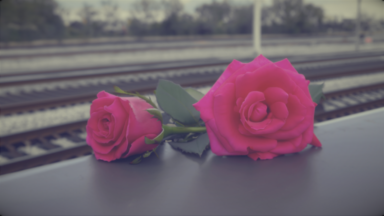 Rose am Bahnhof